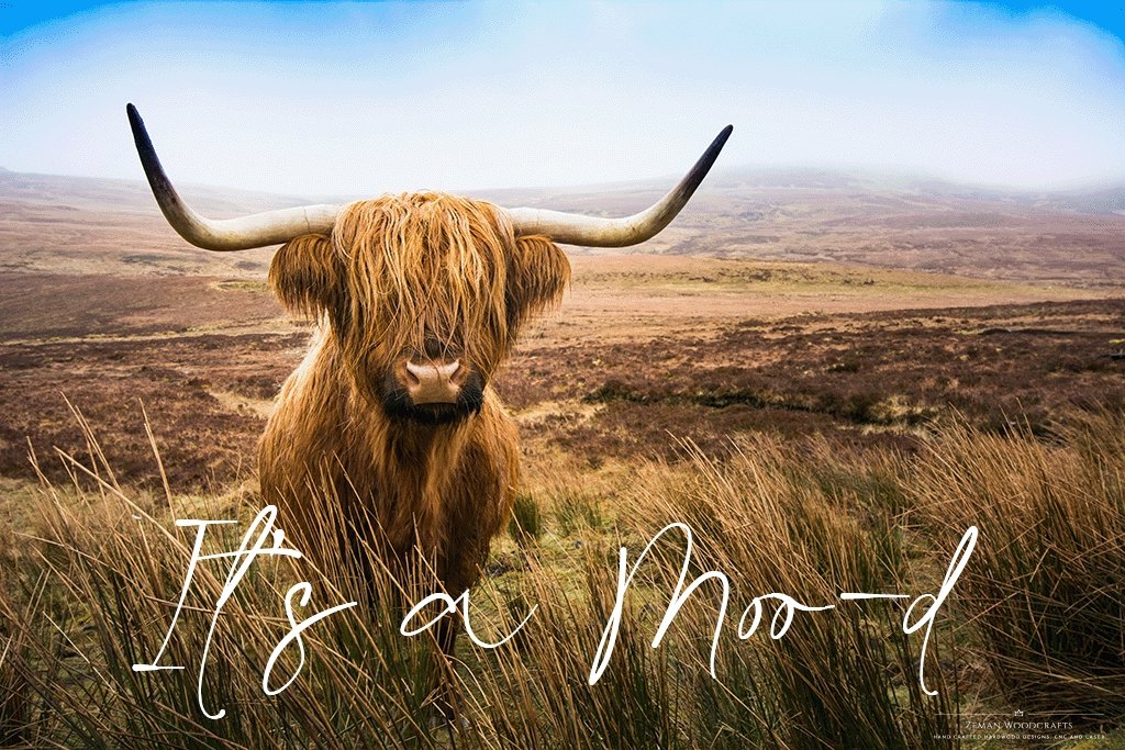 It's a Moo-d Highland Cow Keychain - Zeman Woodcrafts